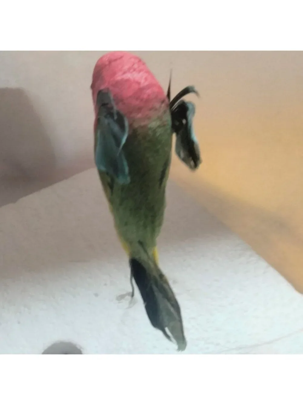 Colorful Decorative Feathered Bird Hummingbird Figurine Wire Floral Crafts Lot 4